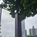 금호공원 앞 횡단보도 이미지