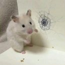 2/2-2/13 부천성모병원 OS