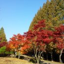 효원약국 이미지