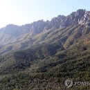 고성울산바위케이블카 이미지