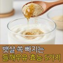 알파미용재료 | 뱃살 쏙 빠지는 들깨우유 효능 5가지! 먹는법부터 부작용까지 총정리