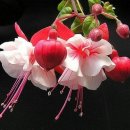 창훈목장 이미지