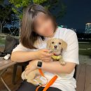 5-6월 포토덤프