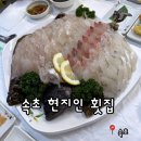 속초 현지인 횟집 찾는다면? 자연산 회 맛본 이가횟집 후기