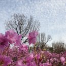 부천8경 포토존2 이미지