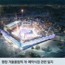 [2018 평창][단독]"문체부, 평창 개막식장 업체로 더블루케이 제휴사 선정 압력" 이미지