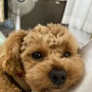 동해해물탕송정점 이미지