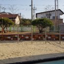 남호초등학교 | ::모래소독::키제코::/동해 남호초등학교 병설유치원,코로나19 예방 : 3629째 후기