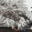 다원학교 이미지