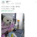 죽전동물병원 이미지