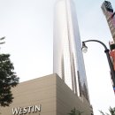 선트리레스토랑 이미지