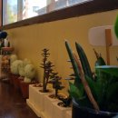 스푼필라프 영등포점 | 암파스타레 신도림 파스타 브런치 맛집 (드디어 도림동에 파스타 맛집이...)