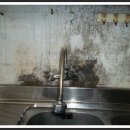 건승약국 이미지