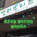 샐러브 이미지