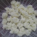 하얀버섯 이미지