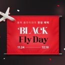 플라이 투어