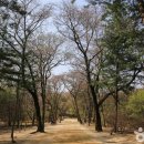 인종목장 이미지