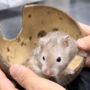 아띠동물병원 이미지