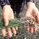 박미향 농장 이미지