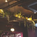 오앤오데코