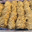 종삼농장 이미지