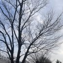 수지레스피아배드민턴장 이미지