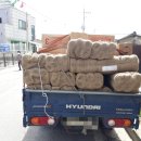 일진농장 이미지