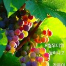 ＜08,11.주일오후에배설교＞ 내가 여기 있나이다. 이미지