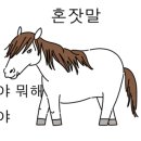 제지기오름 이미지