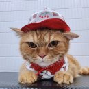 잔다냥 천안점 이미지