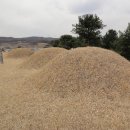 원유남 선생묘 이미지