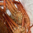 [구매 후기] “청풍수산” 농라카페 후기(홍게, 골뱅이)