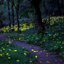 운선농장 이미지