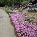 오천서원 이미지
