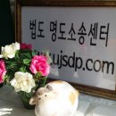 키키통상 이미지