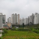 서구-62 이미지