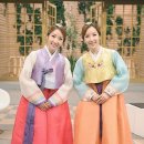윙크 Daum카페