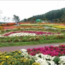 분당노인종합복지관 이미지