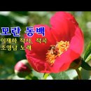 모란동백