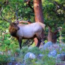 선진목장 이미지