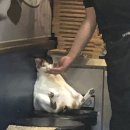 바코삼겹살돌곶이역점