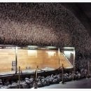 무령왕릉 이미지