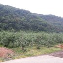 사진:의성도로.농가및사과밭인근임업용(관리+농림)2만평귀촌토지 이미지