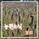 보리물농원