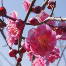 무등도서관 이미지