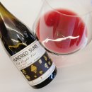밸류메이커스컨설팅 | Hundred Suns Old Eight Cut Pinot Noir 2019/헌드레드 썬즈 , 올드 에잇 컷, 피노 누아2019