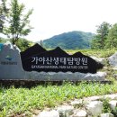 봉양로-2 이미지