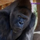 로제피부과의원중앙점 이미지