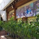 강촌매운탕 이미지