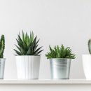 액트짐 신논현점 이미지